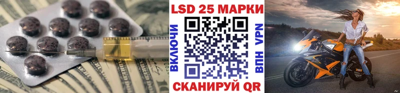 Купить закладки  Порхов  ЛСД экстази ecstasy 